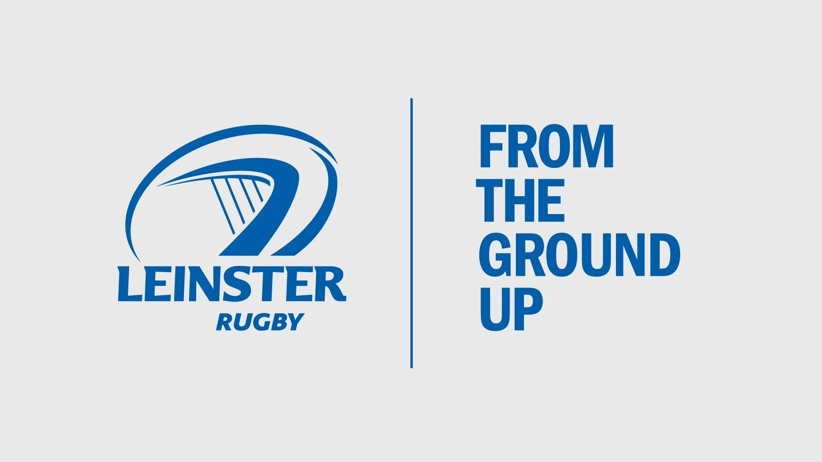 leinster-7.jpg