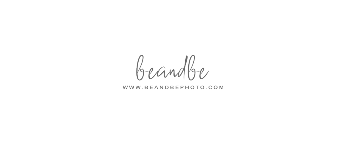 Beandbe Wedding Photographers