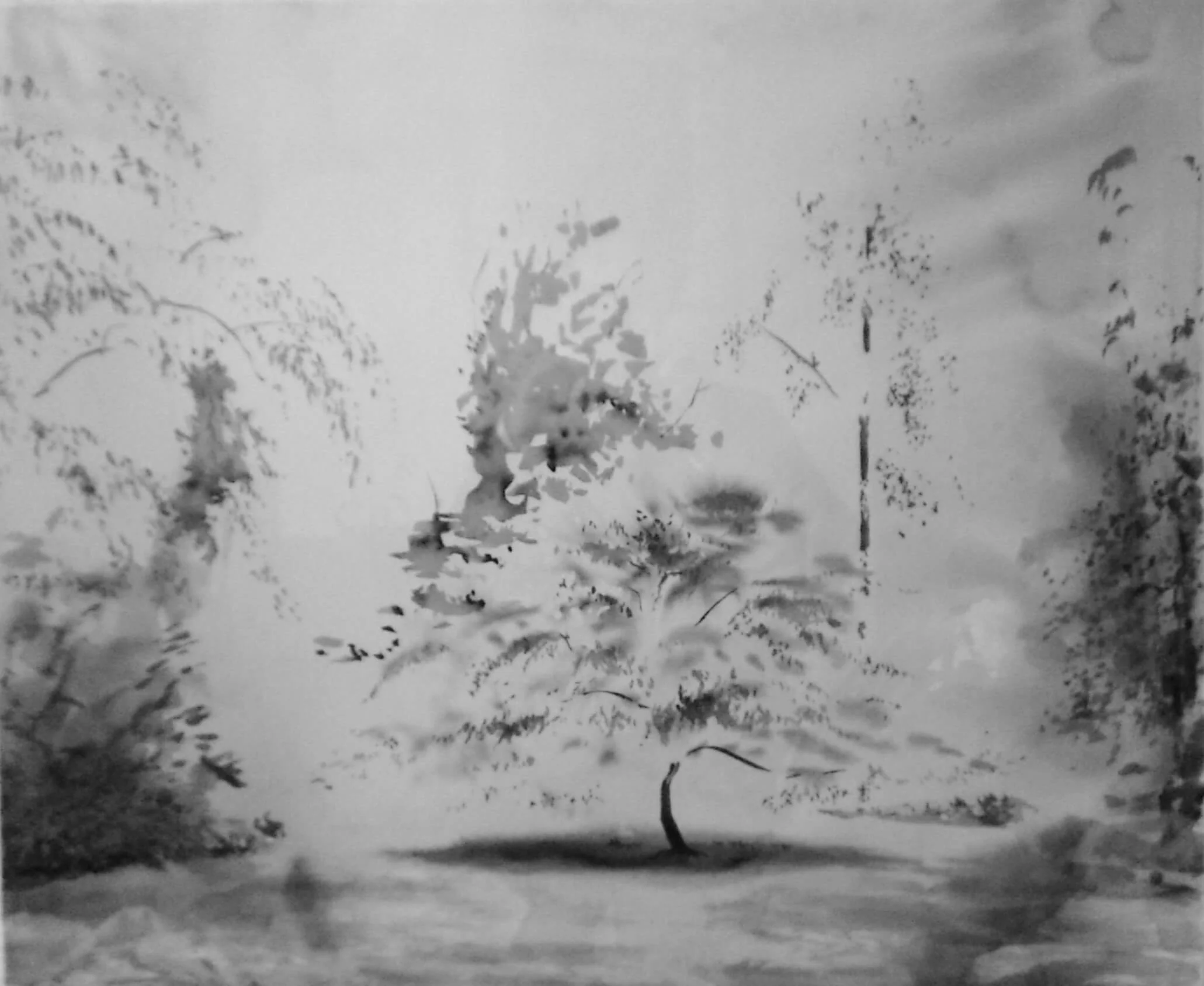 June Light on Trees - Einhaus ( Ink on Paper ) 65 x 85 cm