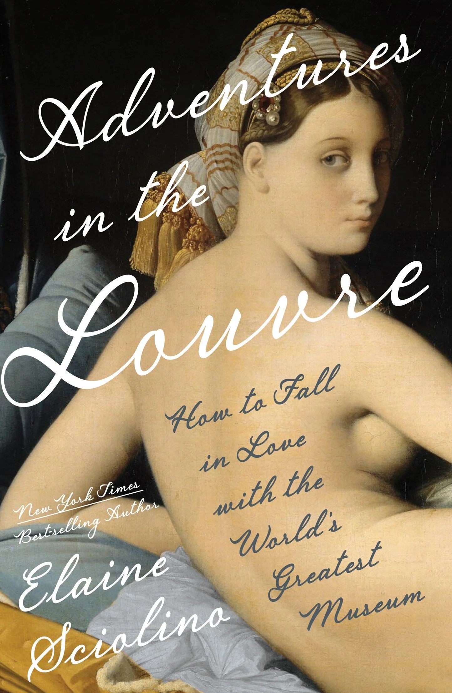 Adventures in the Louvre