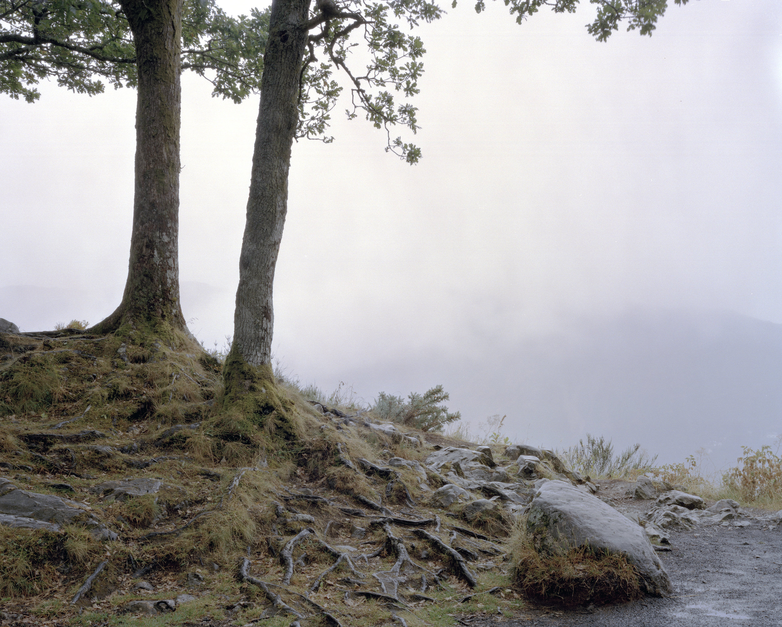 Lake District 2 _ cropped 2.jpg