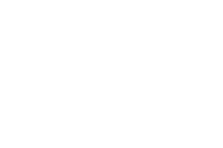 puma.png