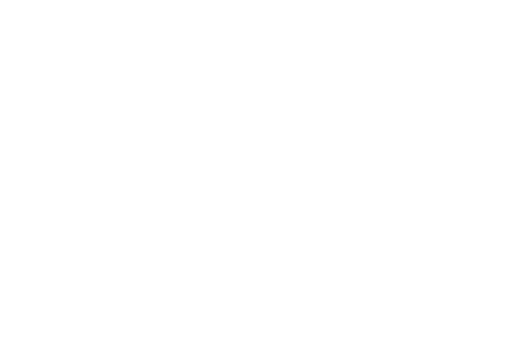 WRANGLER.png
