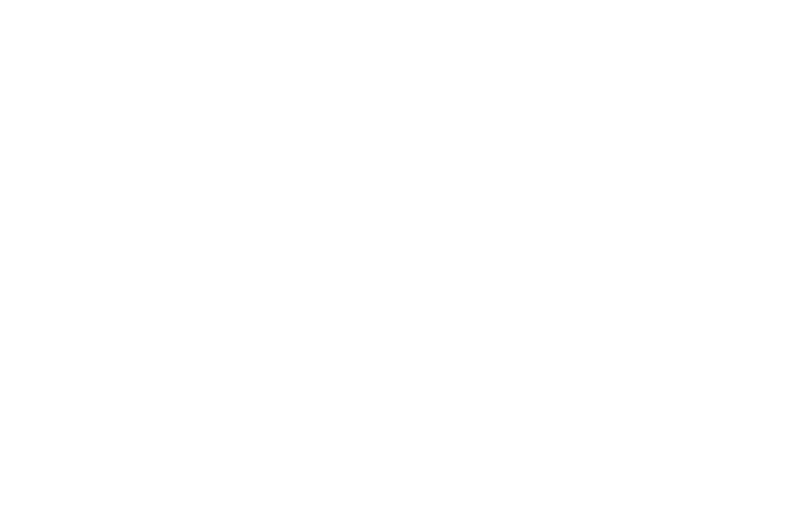 bemberg.png