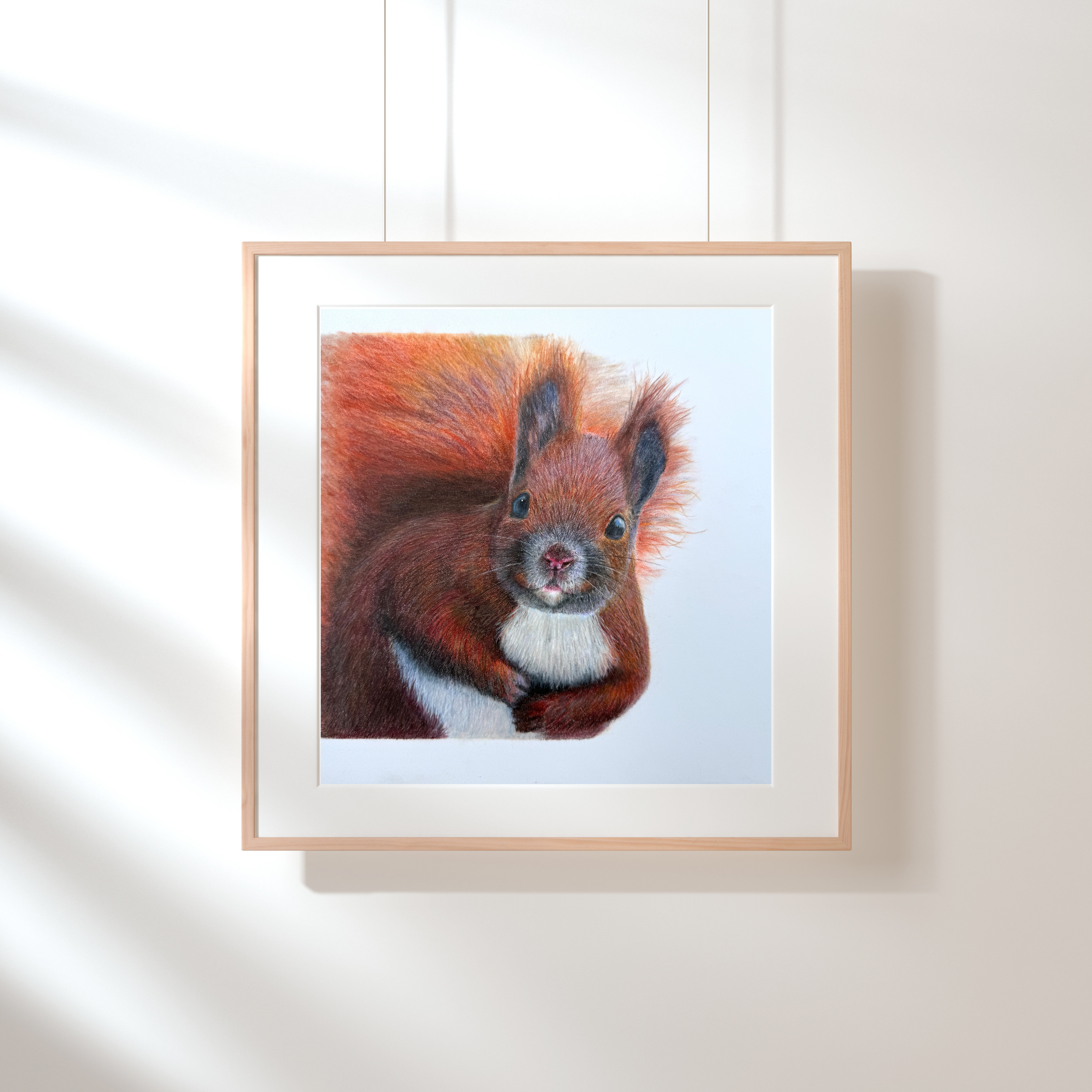www.wildlifeartbyclaire.com-6.png