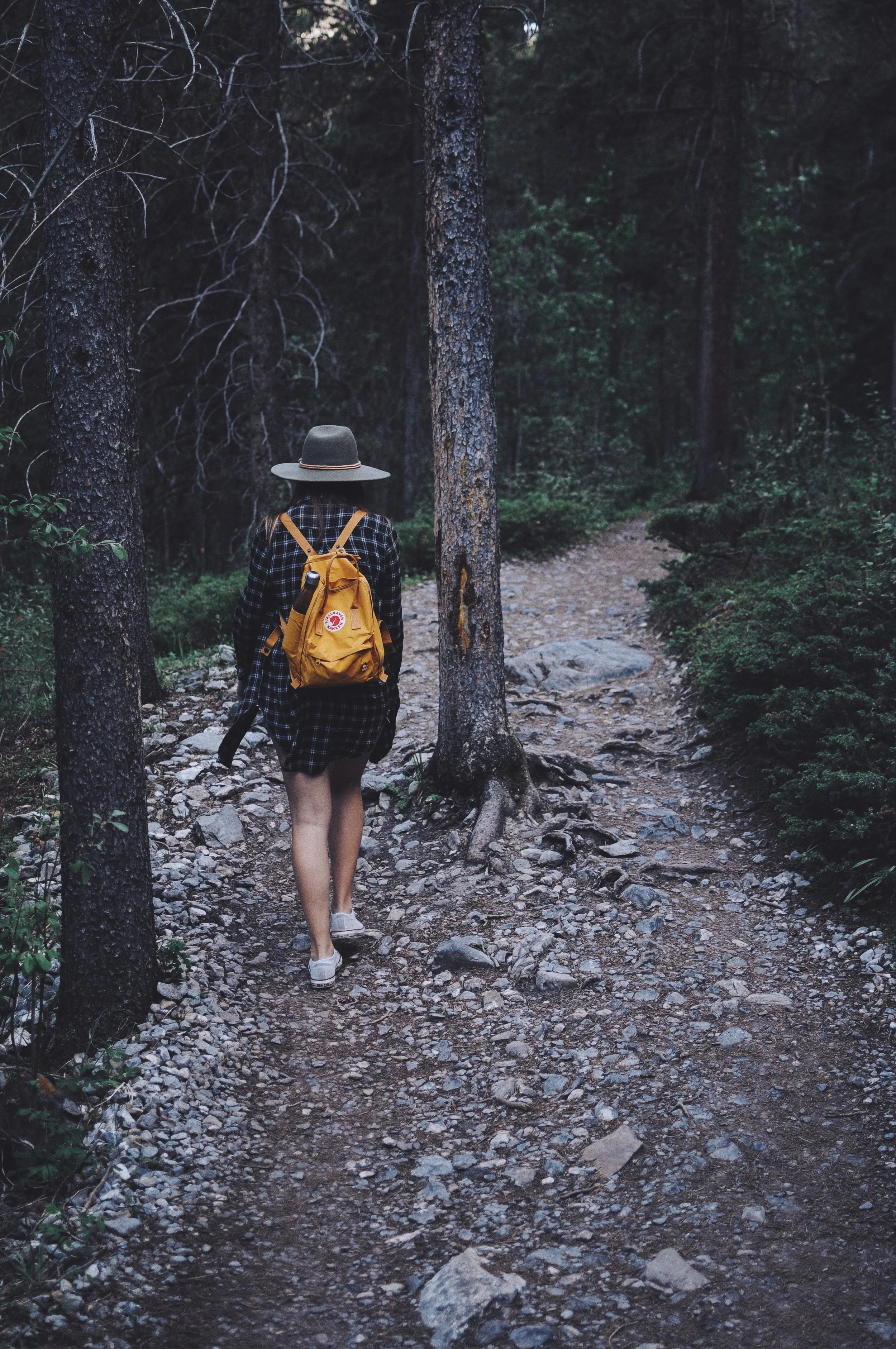 ezra-jeffrey-100704-unsplash.jpg
