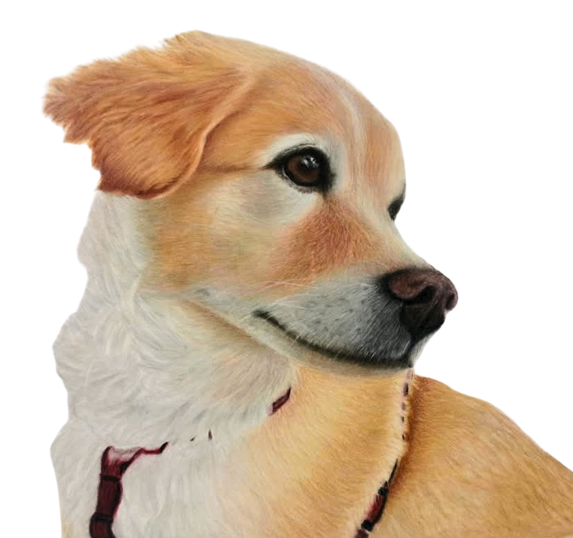 Jaime