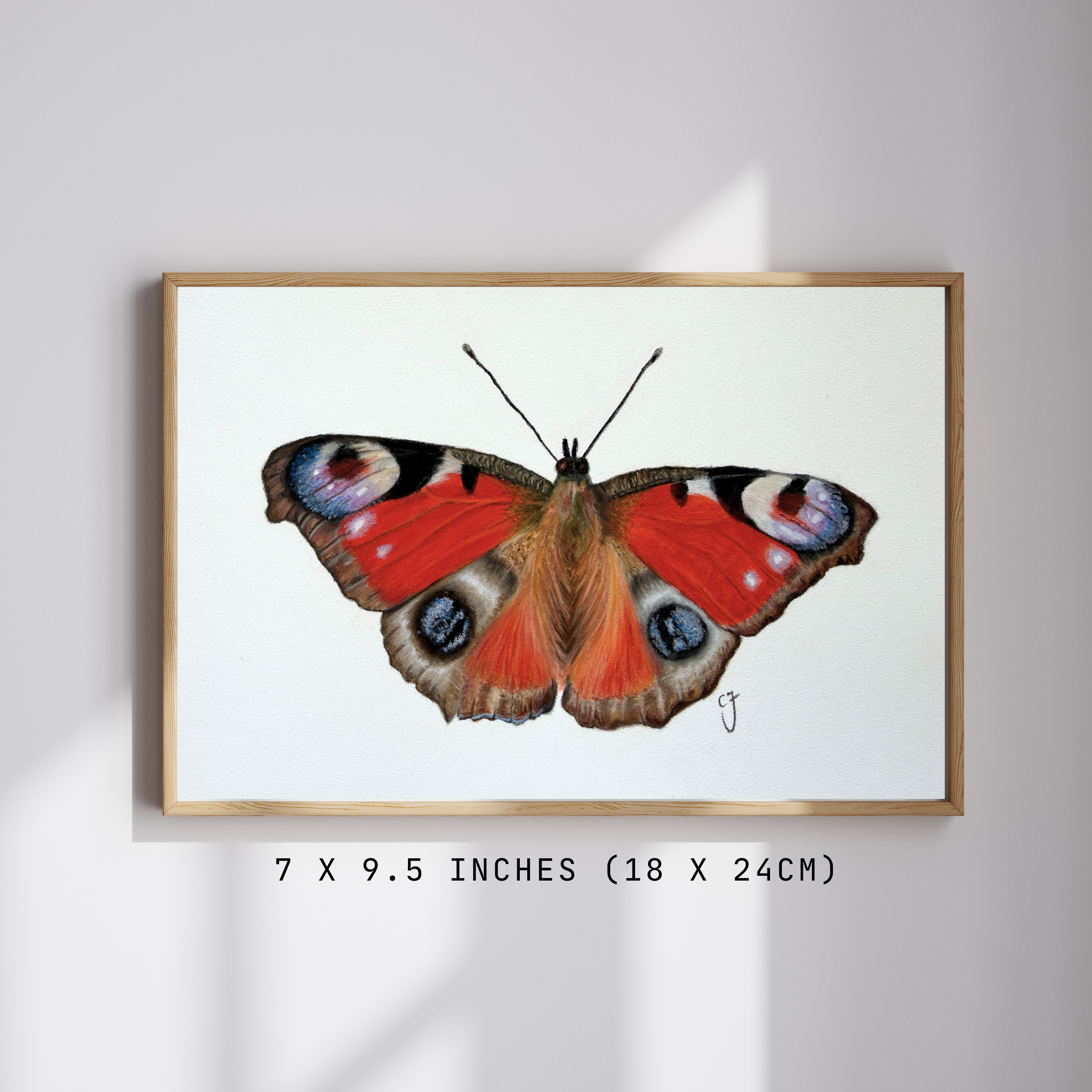 Peacock Butterfly - Original Artwork