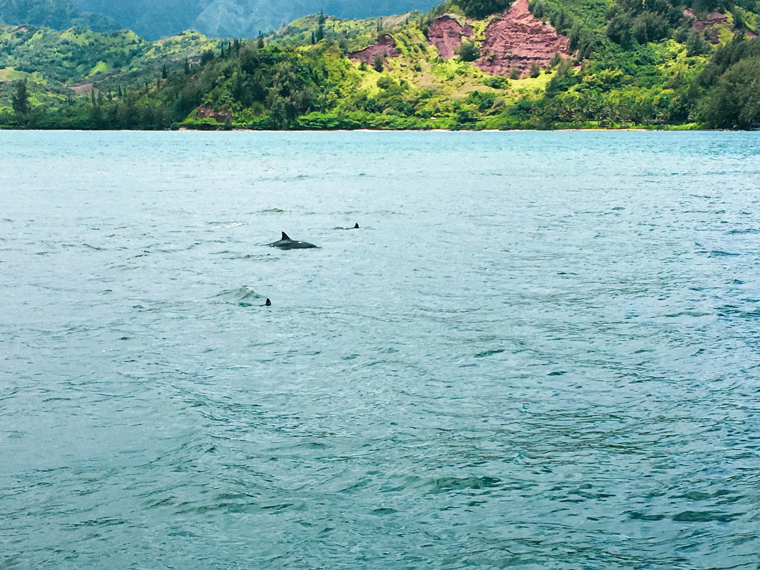 KAUAI_EDITS-13.jpg