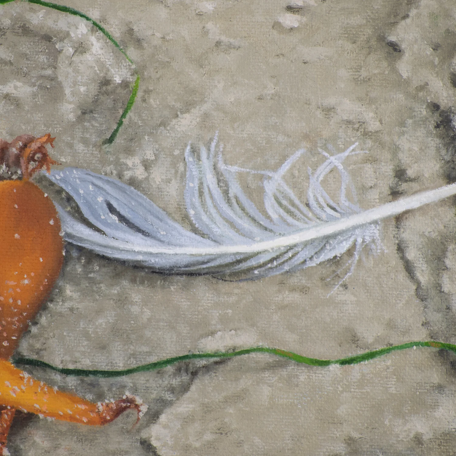 "FEATHER AND KELP BULBS" (detail), OIL ON CANVAS, 12 X 12 INCHES