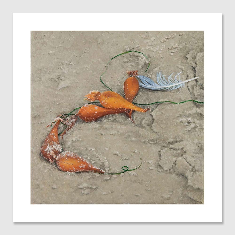 Feather and Kelp Bulbs Fine Art Print