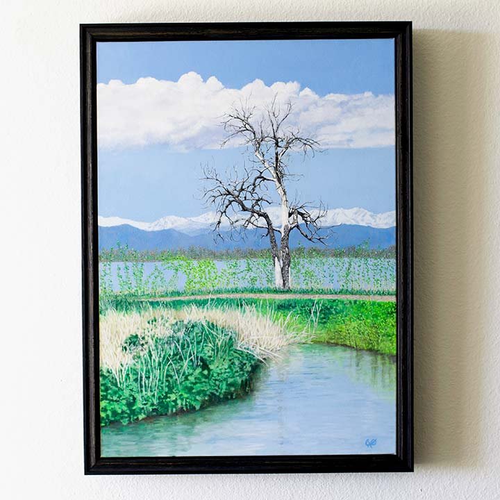 barr-lake-tree-frame-70px.jpg