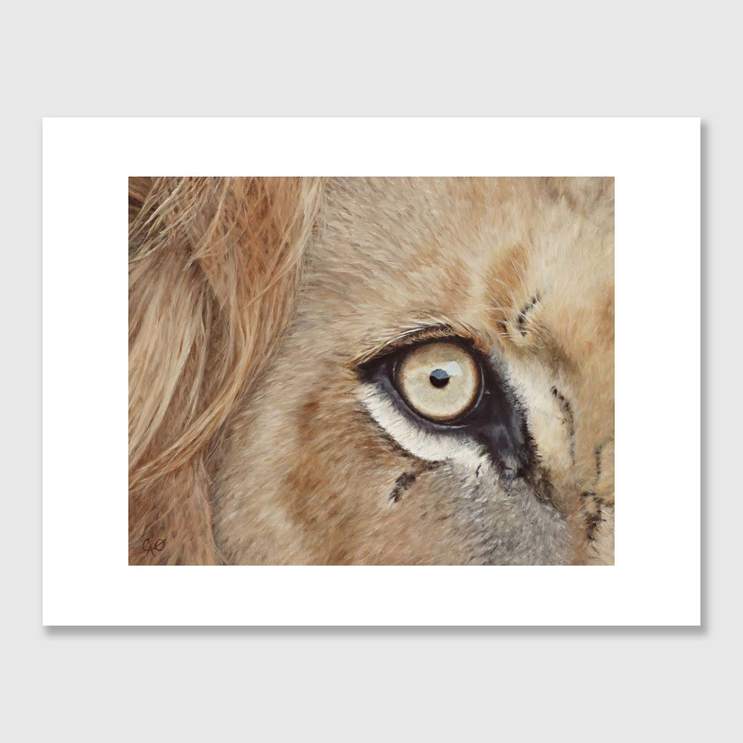 Lion's Eye Fine Art Print