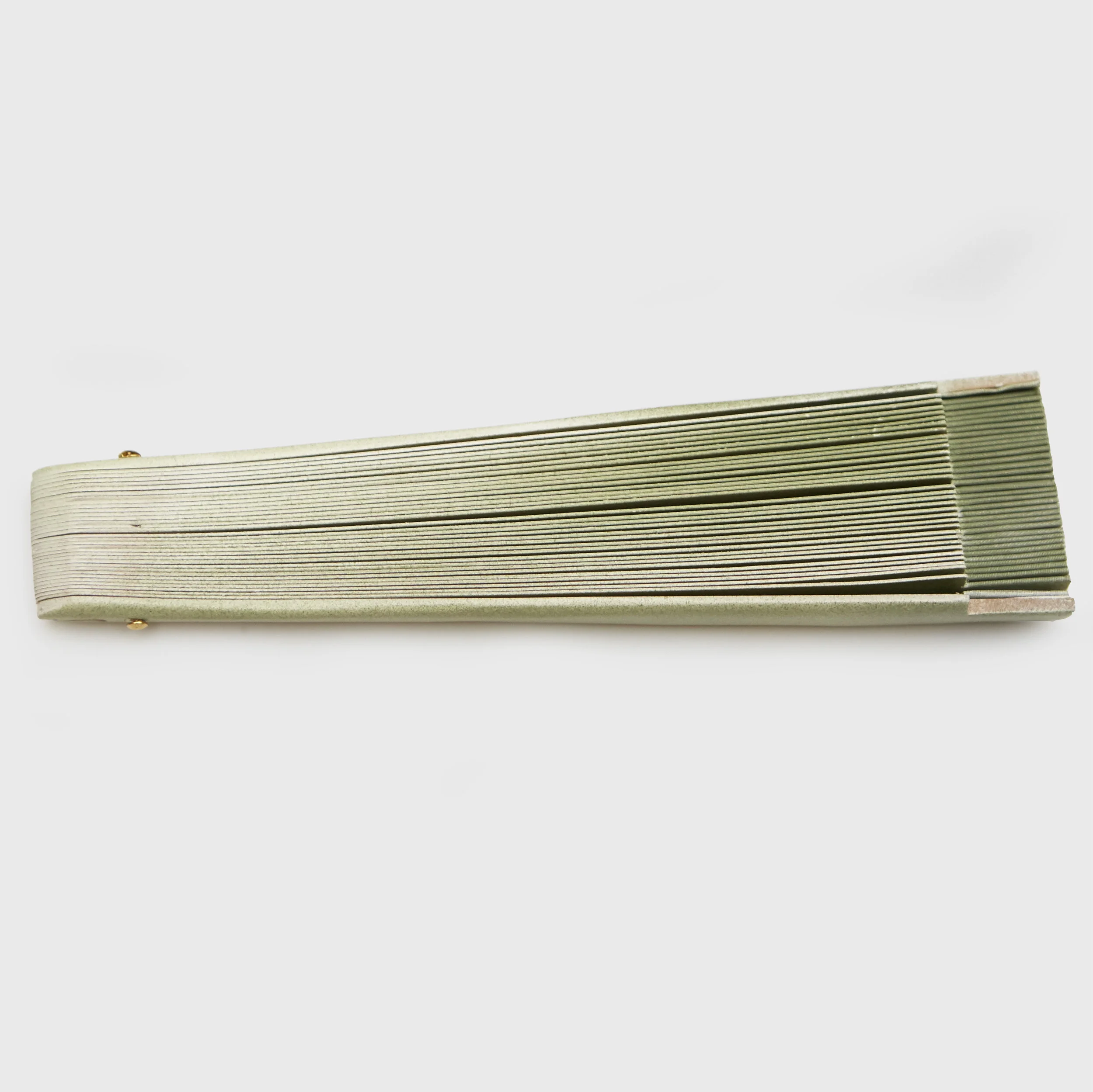 1216_FernFans_158.jpg