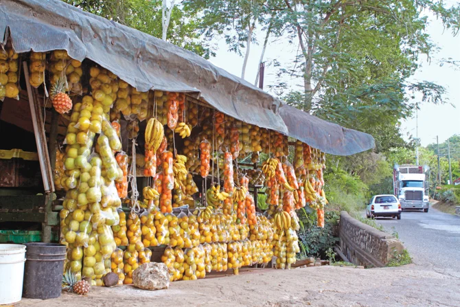 Packaged to A-peel - Berrydale Clarendon
