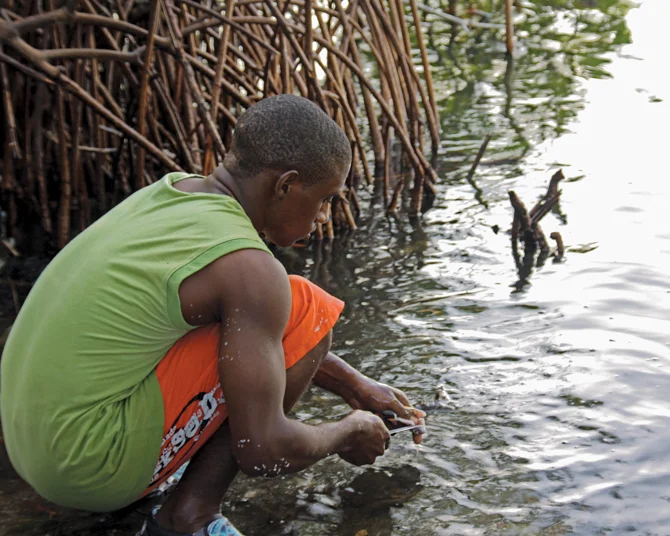 Boy Cleaning Fish -Palisadoes