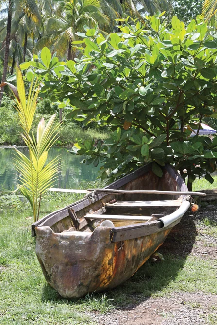River Boat - Likkle Porti Portland
