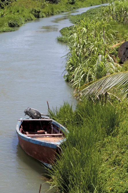 Winding River - Westmoreland