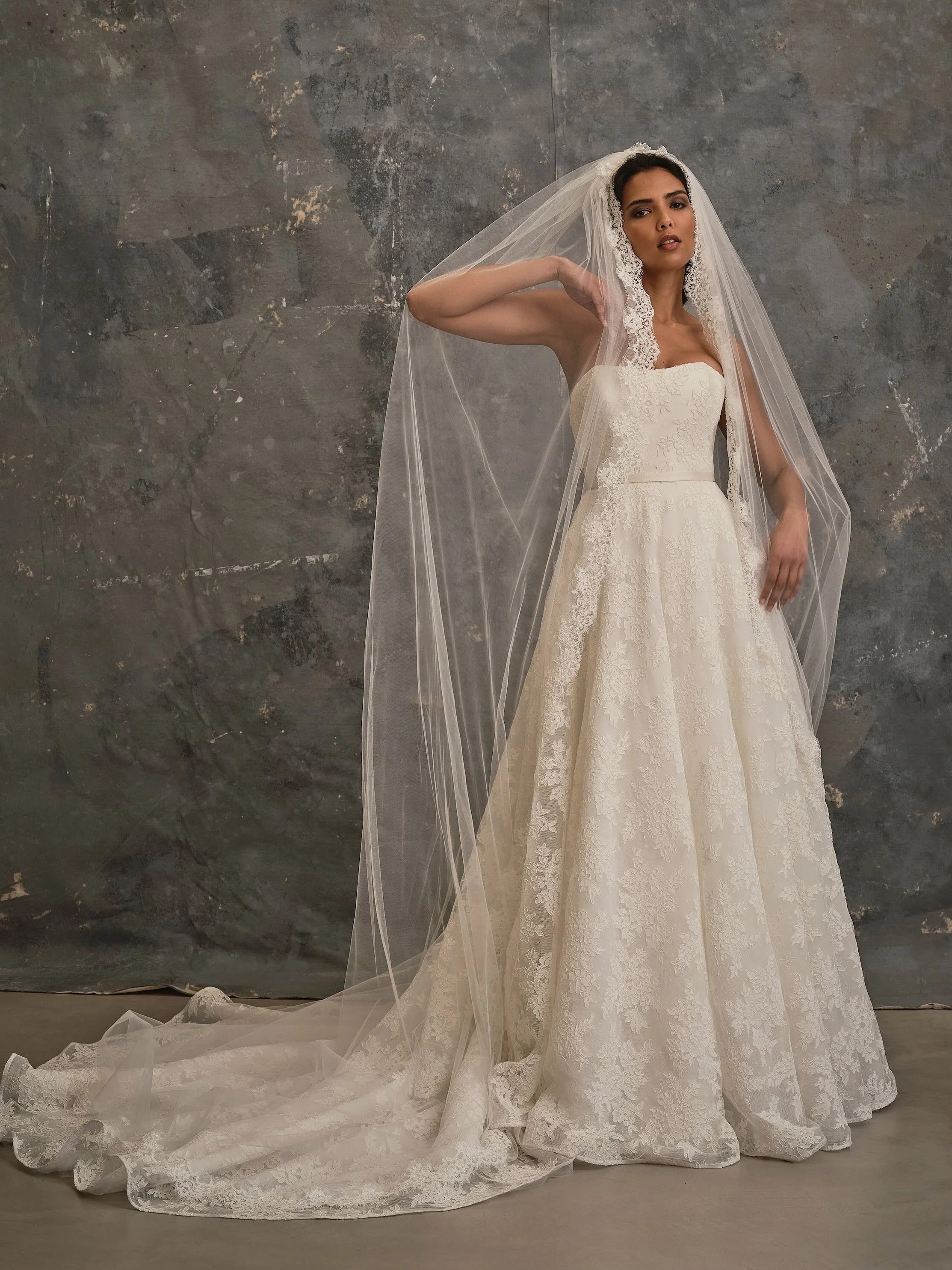 Floral lace A-line wedding dress with elegant cathedral veil