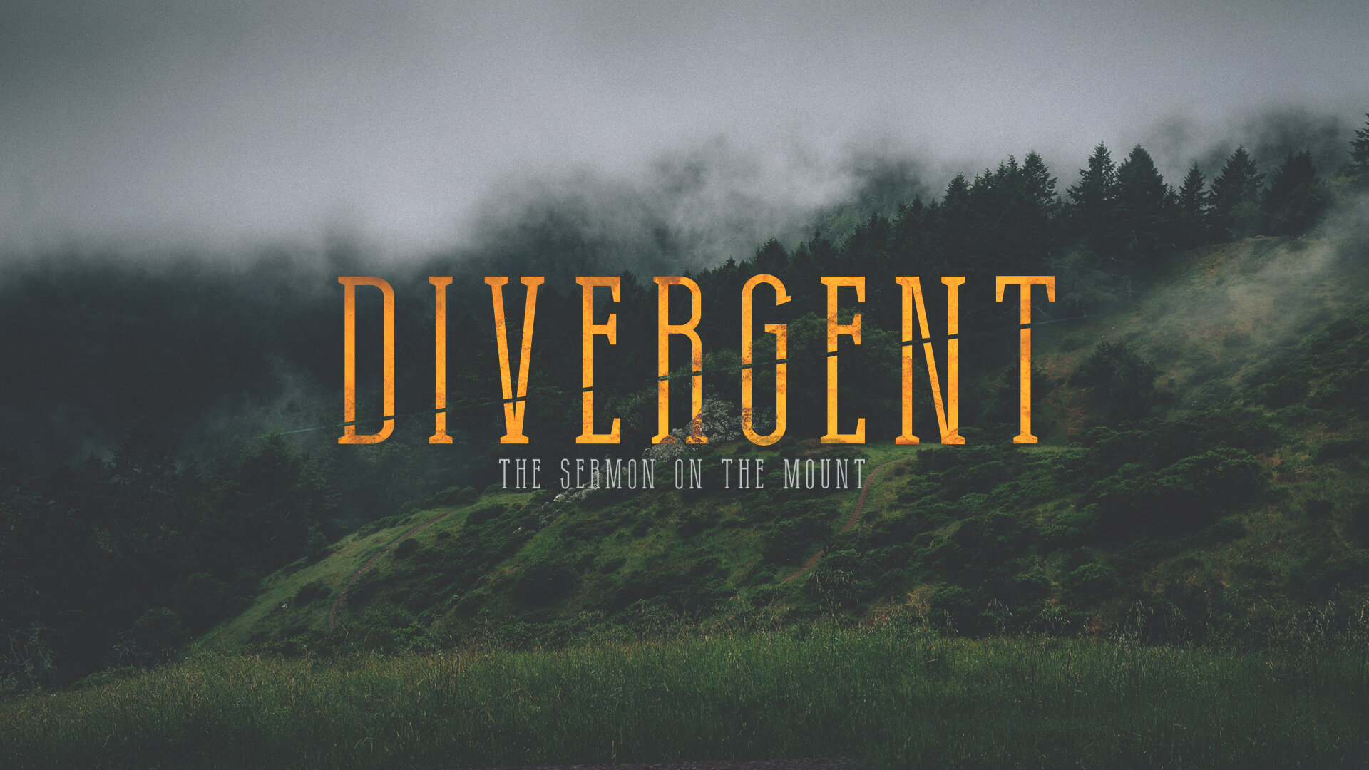 Divergent, Part 3