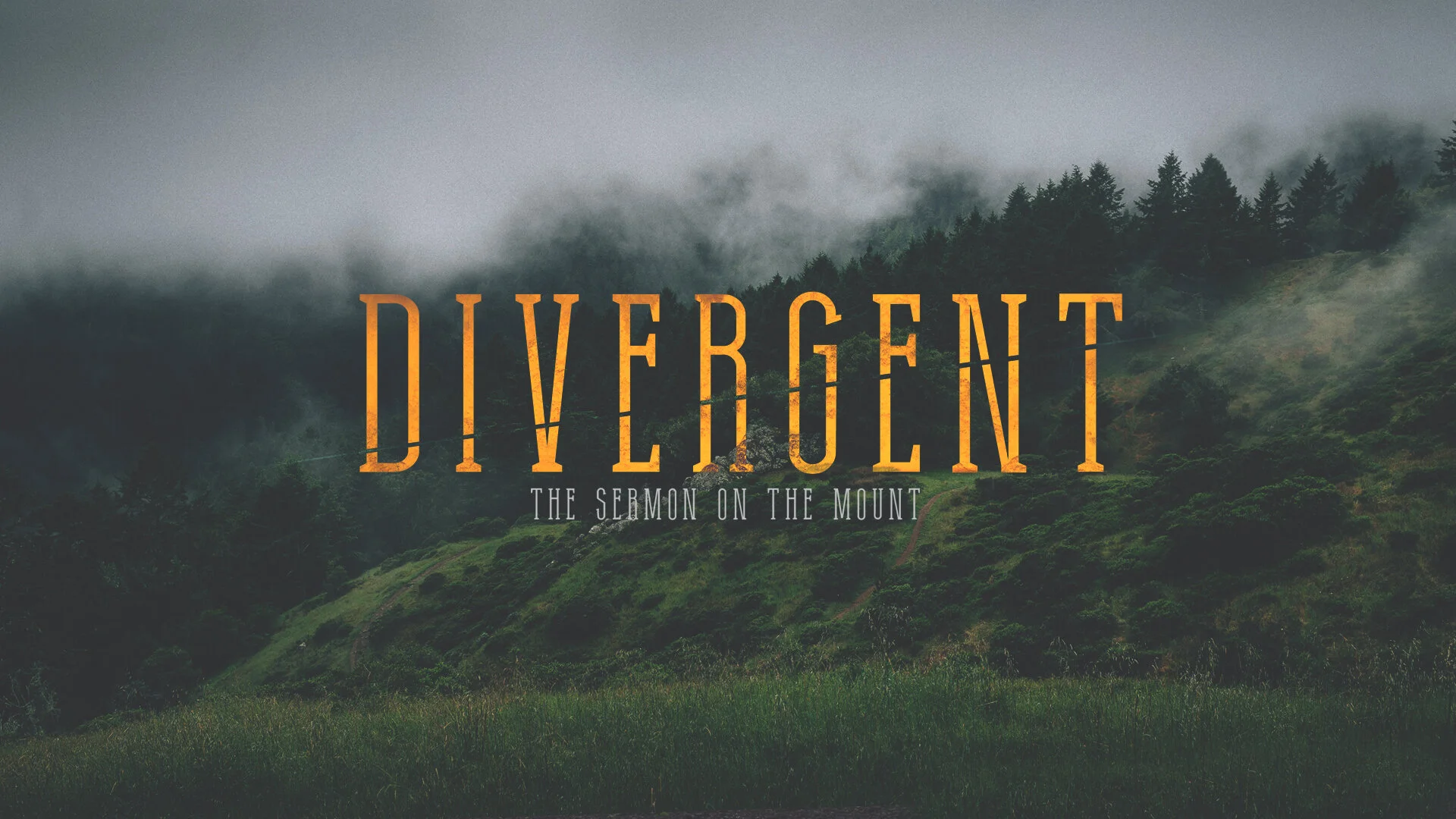 Divergent, Part 6
