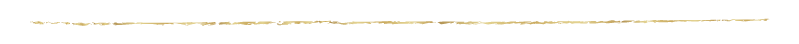 gold line skinny.png