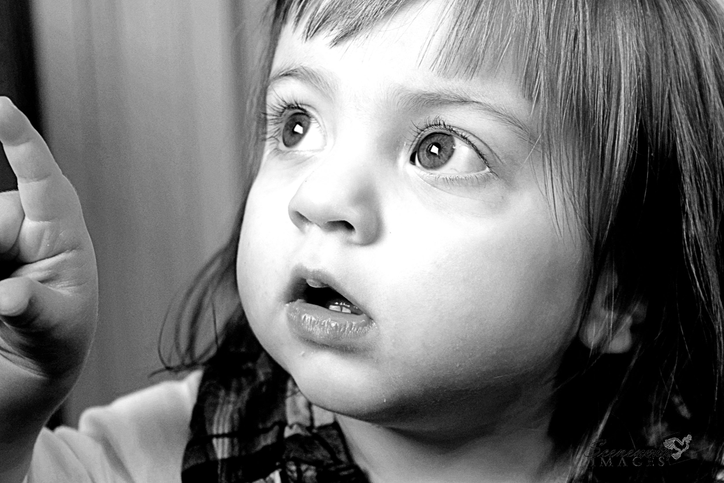  Young Girl Toddler Child Family Portrait Photography NYC Connecticut Black and White 
