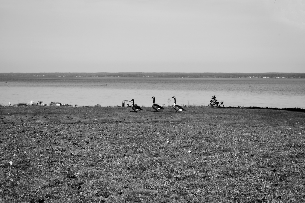 Lake Oneida