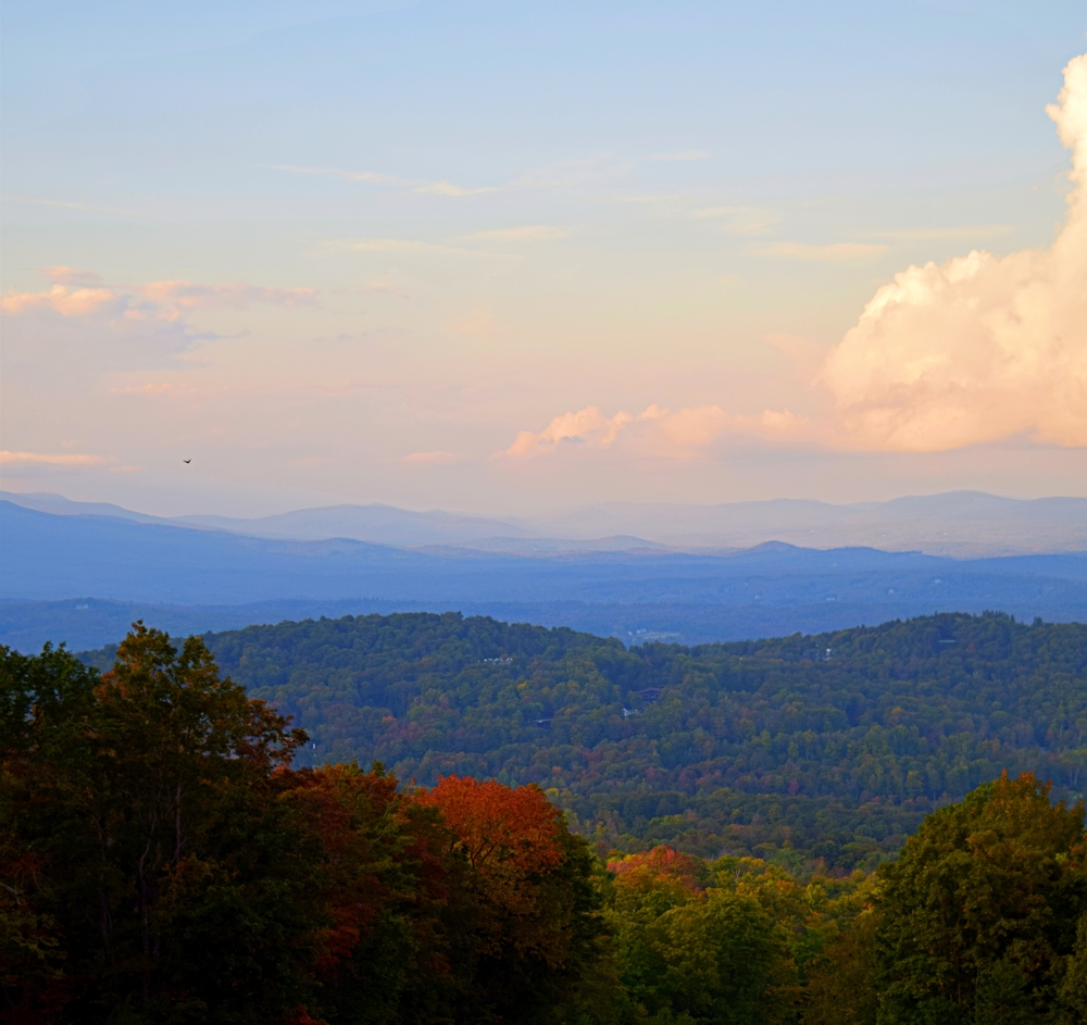 Autumn Views