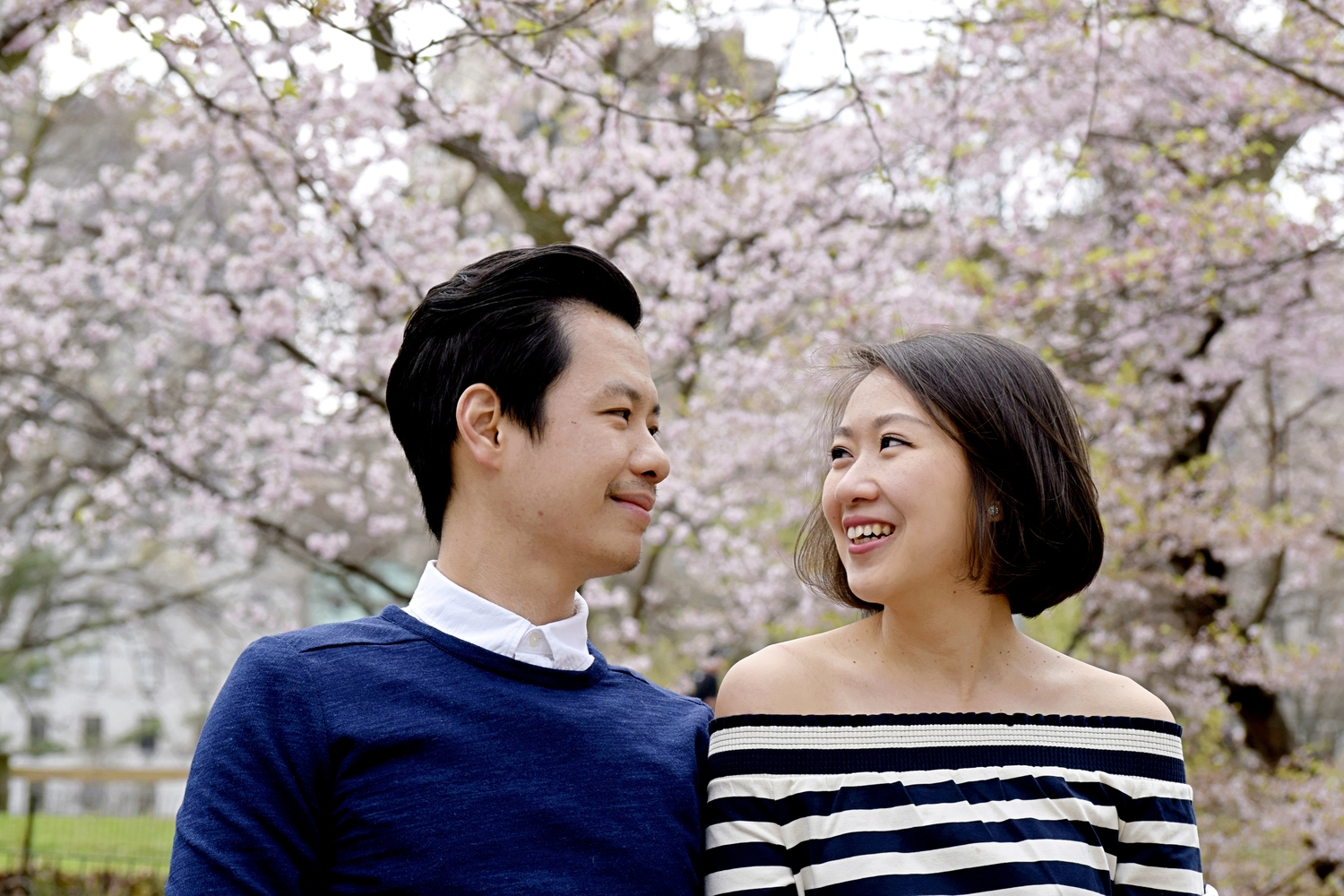  cherry blossom engagement photography central park&nbsp; new york connecticut 