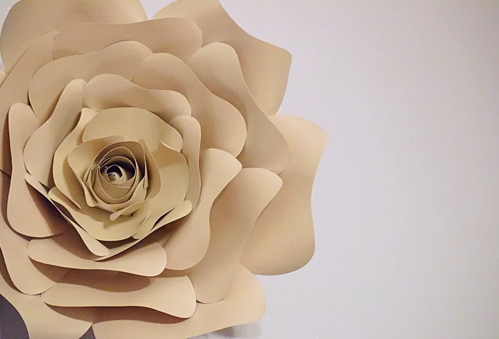 White Rose Paper Flower