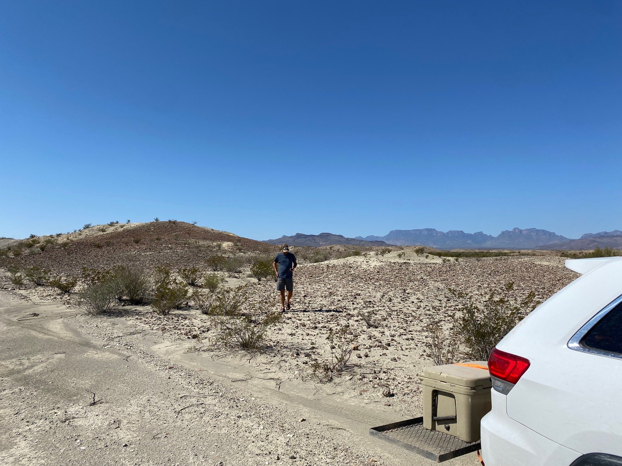 IMG_4700.jpg