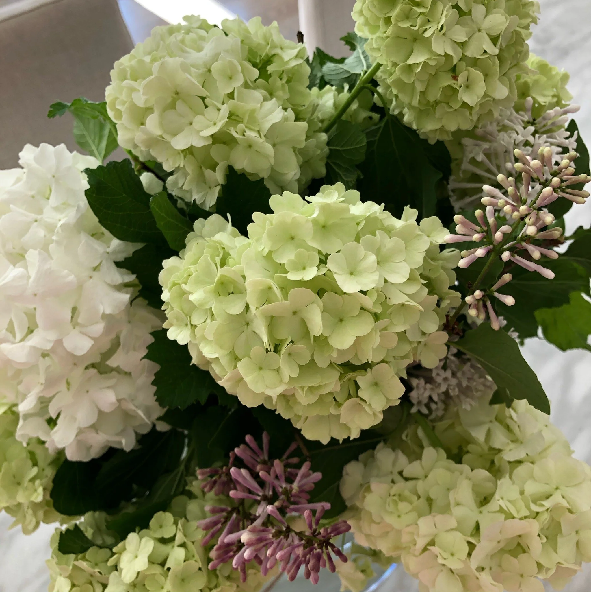 Lavender sachet 51.00