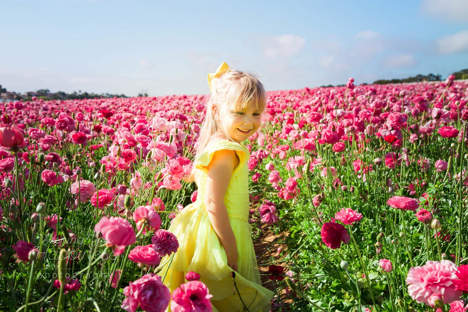 wishingyouhappiness36+(1+of+1)-12.jpg