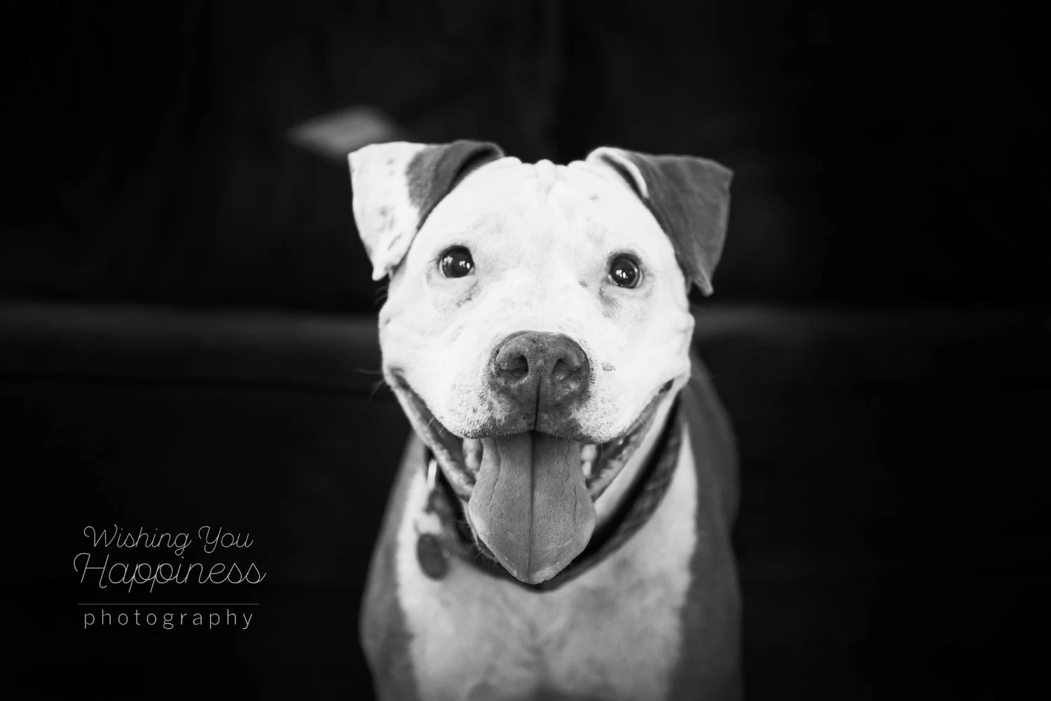 wishingyouhappiness36+(1+of+1)-28.jpg