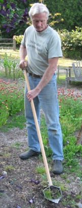 The Shrew at work