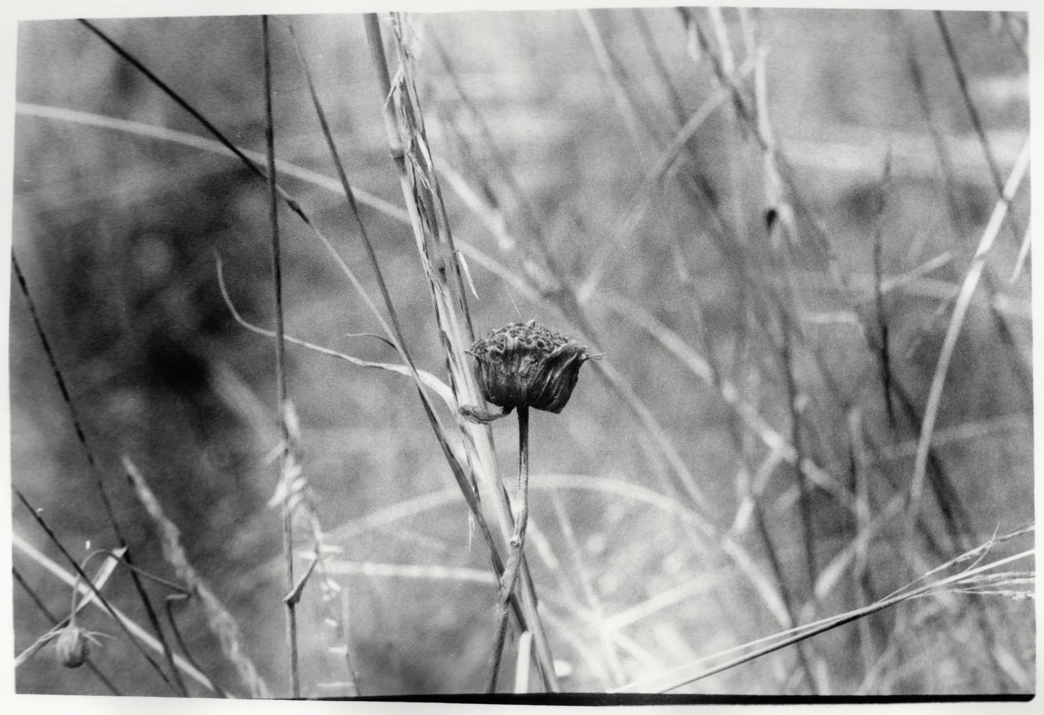 Darkroom-16.jpg