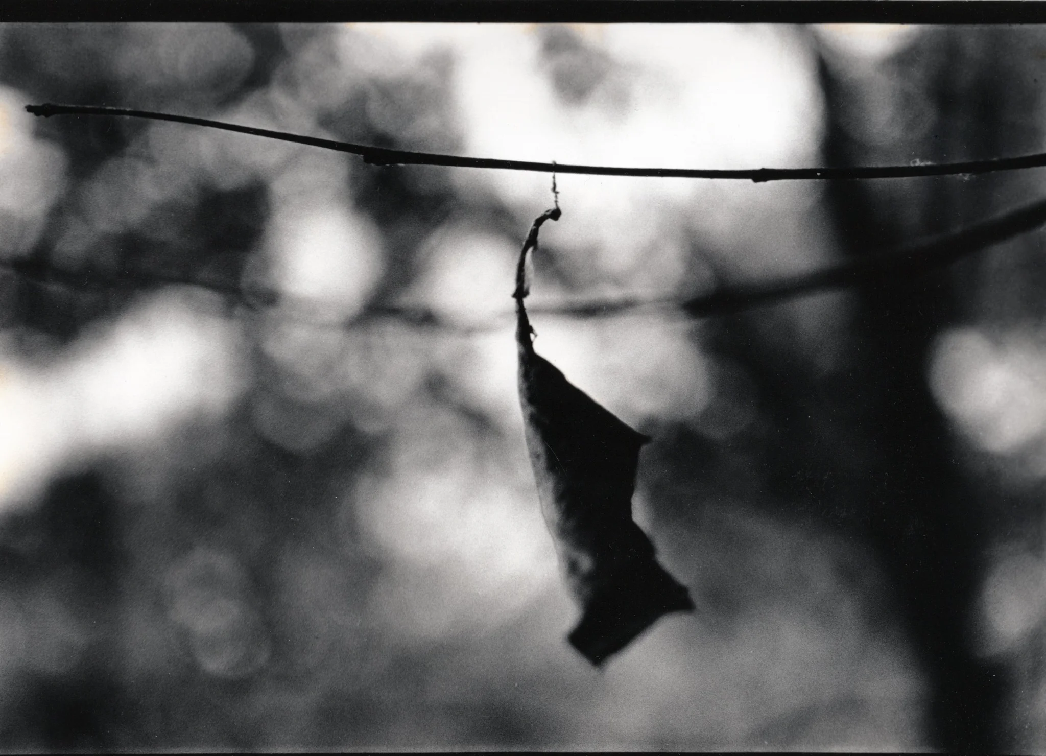 Darkroom-24.jpg