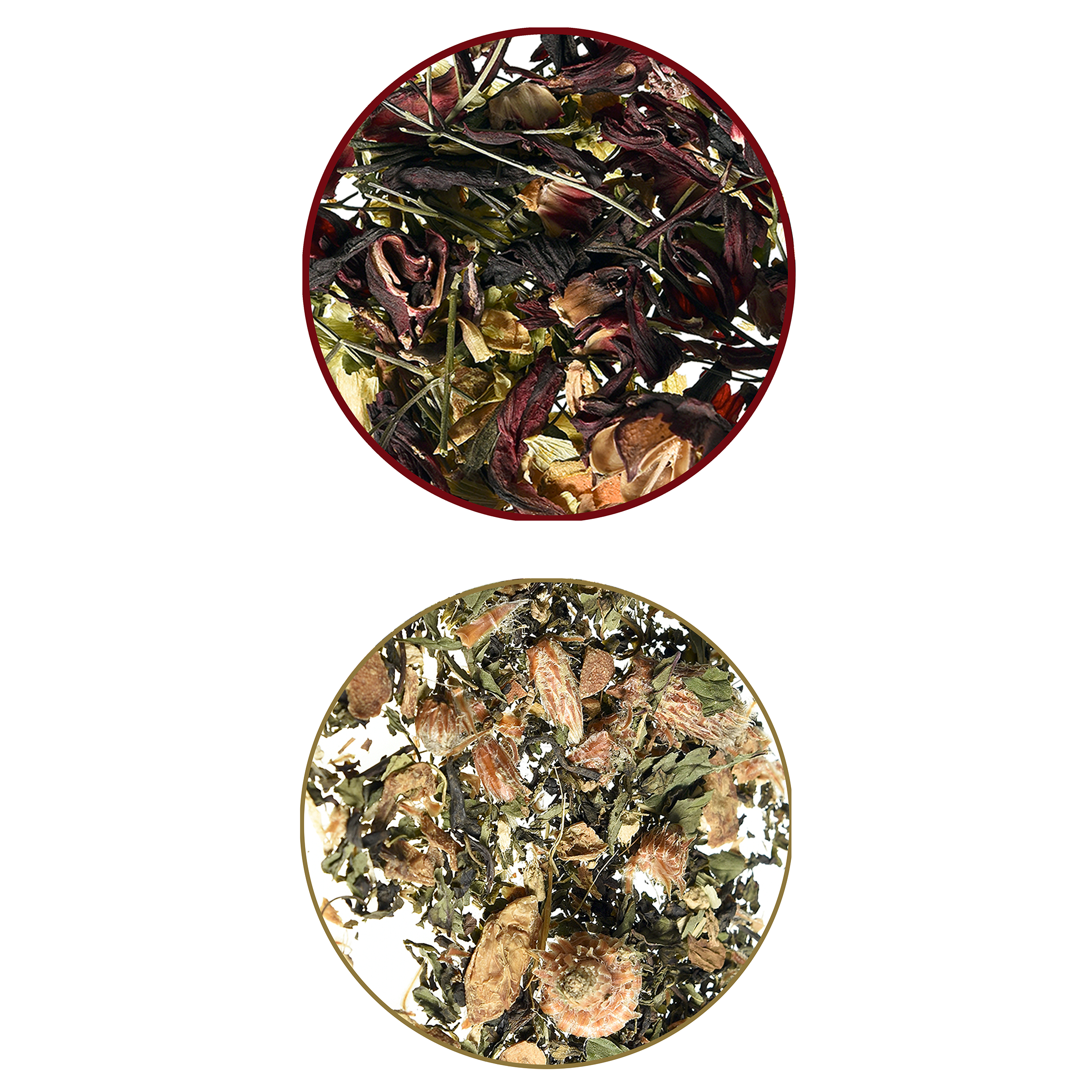 DAYTOX&SCULPT MIX.png