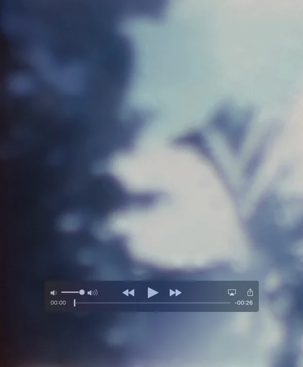 Screen Shot 2019-03-03 at 1.26.37 PM copy.jpg