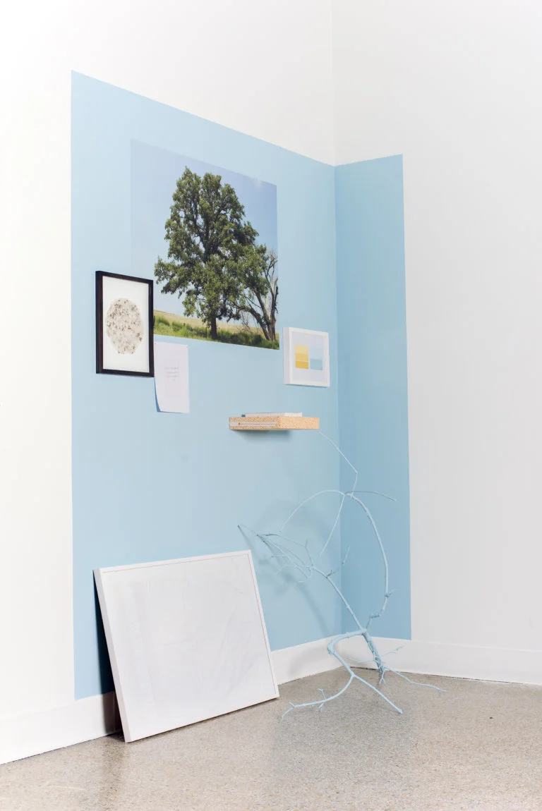 Homestead_Old-Oak-768x1150.jpg