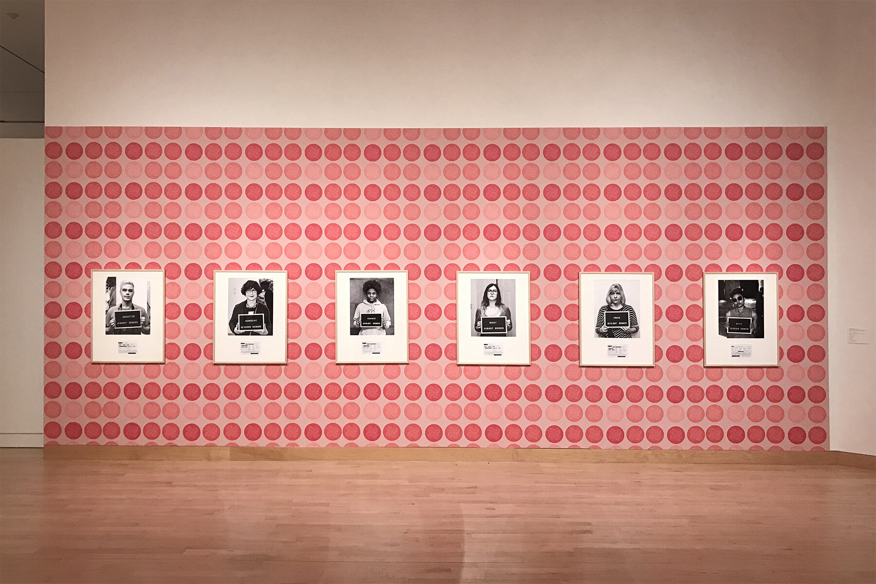  “High Maintenance” from  The Patterns' Vicious Influence &nbsp;installed along with ephemera from our project  You Have the Right to Remain a ___.   on view in the Wisconsin Triennial at the Madison Museum of Contemporary Art (2019) 