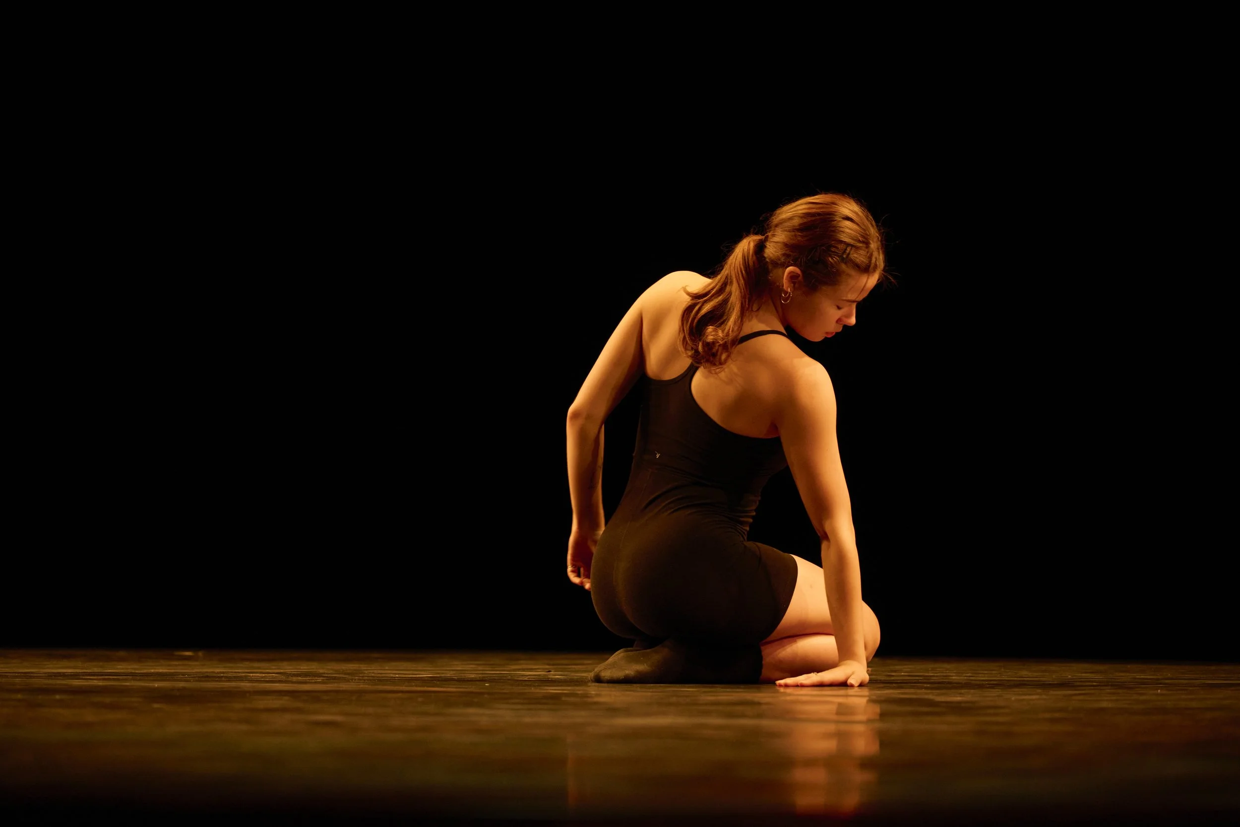 Crooked Diptych  Show _ MD2_1604.jpg