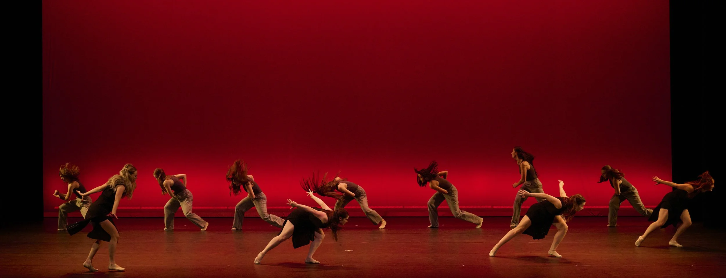 Totentanz  Show _ MDZ_3973.jpg