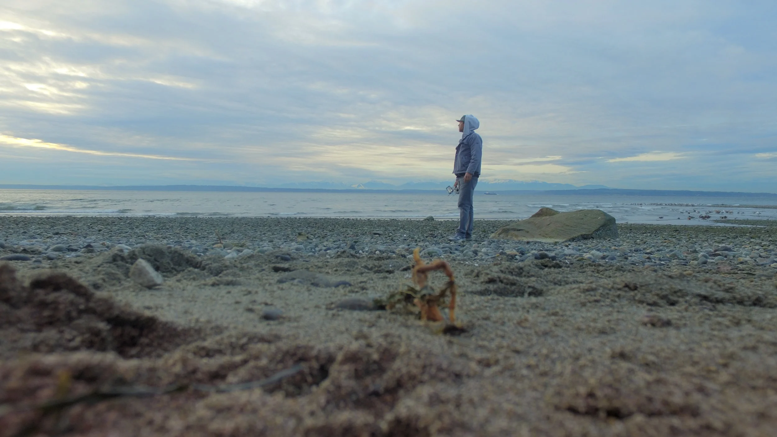 Me, gently plotting, Discovery Park, Seattle, WA