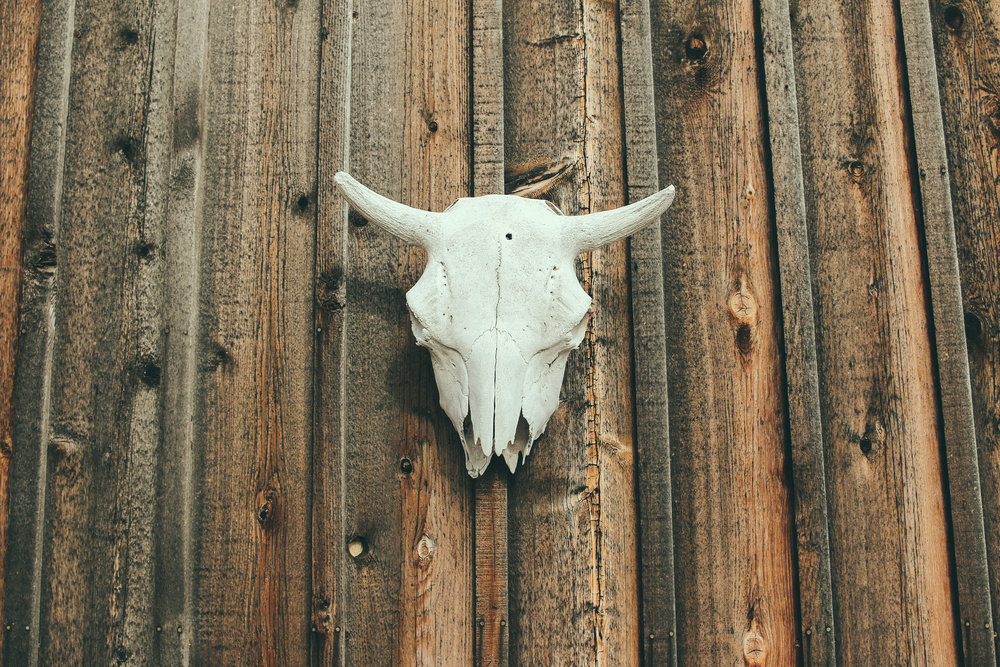 The Shakopee Trading Post (outside and inside)