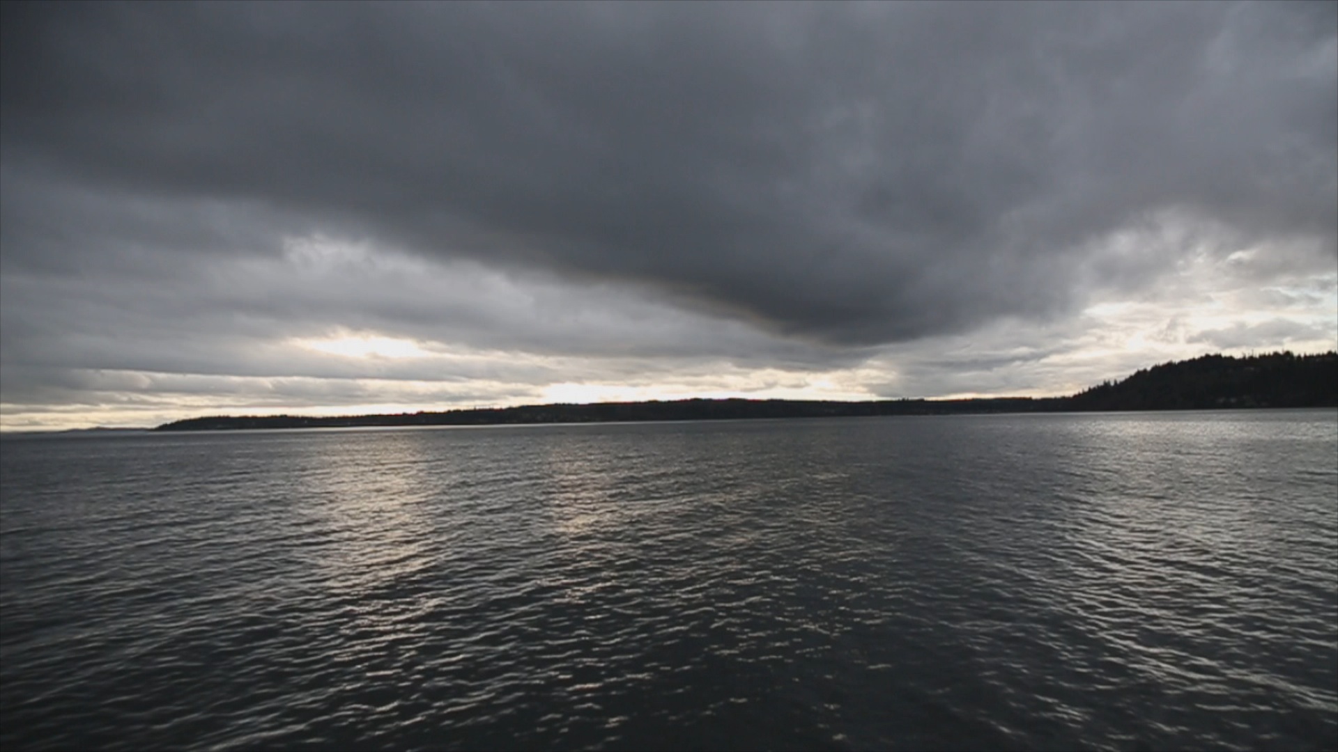  Puget Sound - heading to interview former NFL player, author and activist Dave Meggyesy (January 2013) 