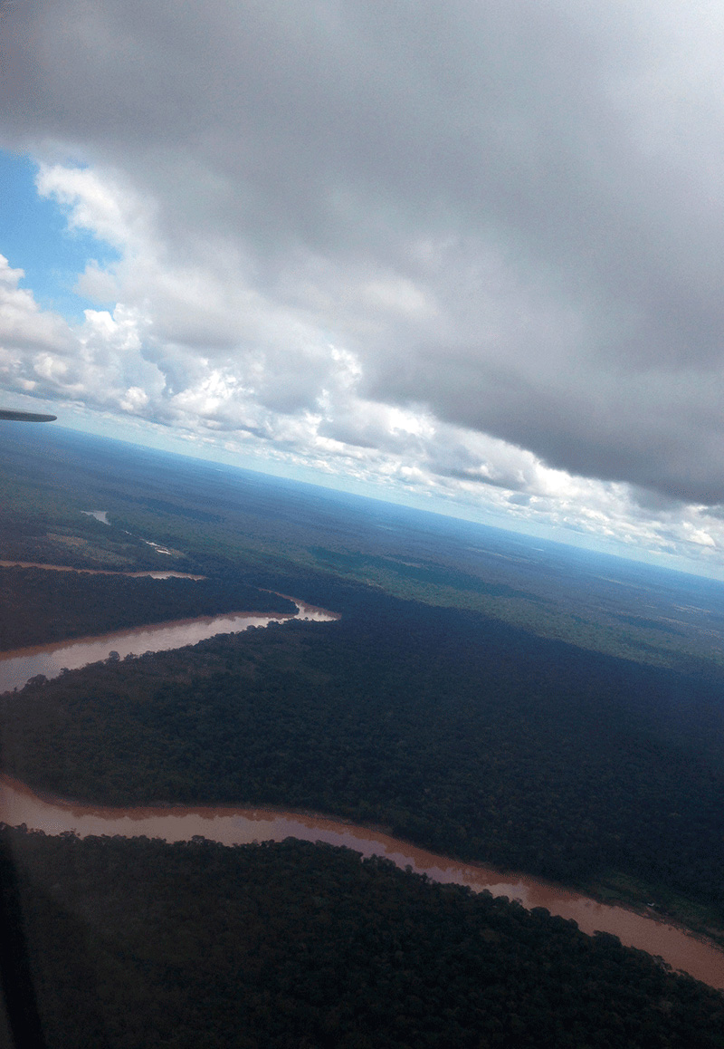 Vista aérea de la selva de Tambopata