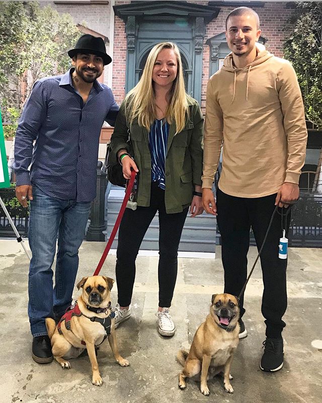 Petflix and chill at it&rsquo;s finest 😍 George and I got to meet his distant puggle cousin @itsbrunoshow,  @slick_naim and @actoranthony from the @netflix show &ldquo;It&rsquo;s Bruno&rdquo;!