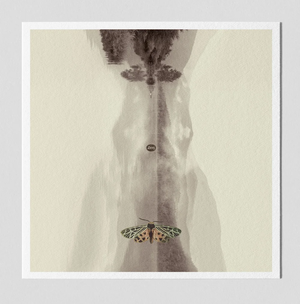 Fine Art Editions — Curious Music